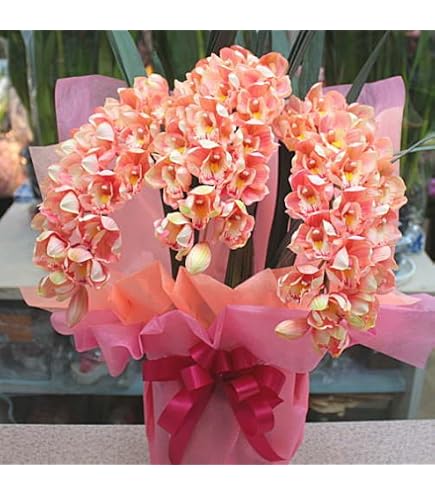 Amazon｜シンビジューム（シンビジウム）造花 白色 3本立ち（Sサイズ